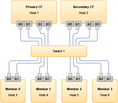 The 2 CFs each have 4 connections and the 4 members each have one connection to the switch.