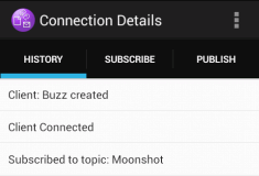 Screen capture of the sample app Connection Details screen "History" tab, showing the subscription.