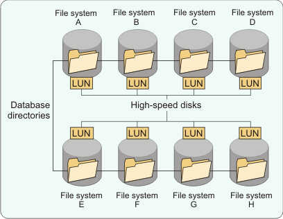 Distribution of database directories: Place each directory on one LUN or physical disk and in different file systems.
