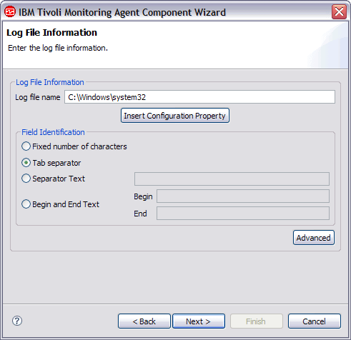 Log File Information page with Log file name field completed and Tab seperatorselected.