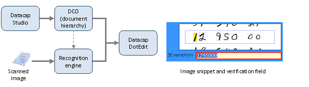 After the document hierarchy (DCO) is created in Datacap Studio and when the recognition engine reads a scanned image, DotEdit highlights a field that requires correction or verification.
