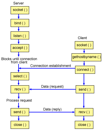 The client/server relationship of the sockets API for a connection-oriented design