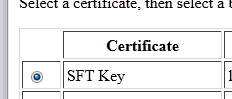 screenshot of the certificate imported