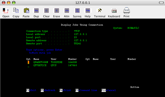 Screen shot of the interactive job assigned to your Telnet connection.