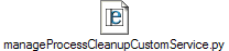 manageProcessCleanupCustomService.py