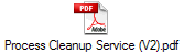Process Cleanup Service (V2).pdf