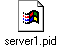server1.pid
