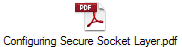 Configuring Secure Socket Layer.pdf