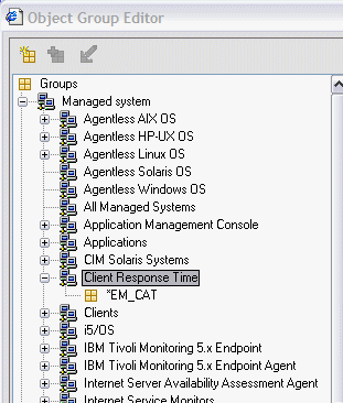 Example of the managed system list showing the default list created for the Client Response Time agent type.