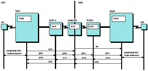 Multiple-network paths